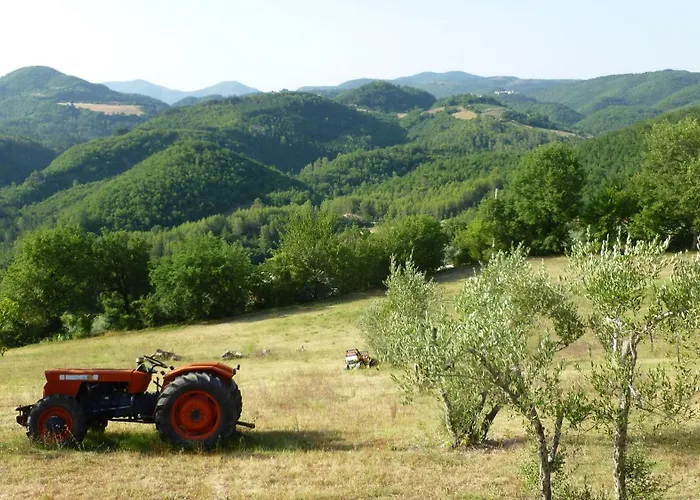 Casa Casimiro Hébergement de vacances Spolète